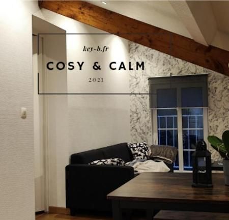 Apartmán Calm & Cosy Freyming-Merlebach Exteriér fotografie